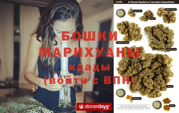 крисы Снежногорск