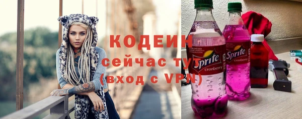 скорость Бородино