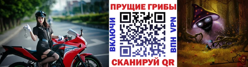 Галлюциногенные грибы мицелий  закладка  Межгорье 